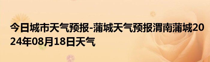 渭南蒲城最新天气预报与气象分析概览