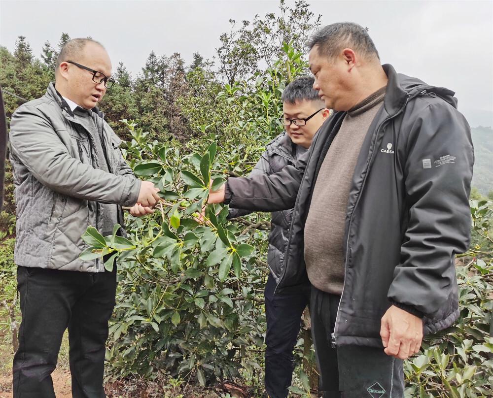 浦北官垌镇最新新闻动态