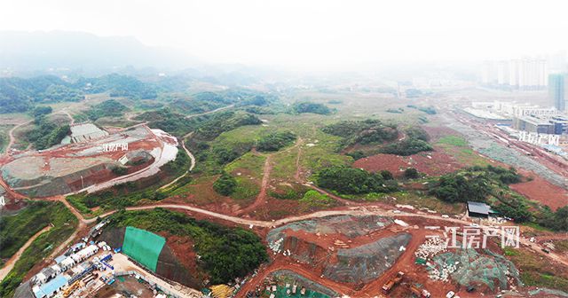 宜宾青山最新生态建设动态，蓬勃发展势头强劲