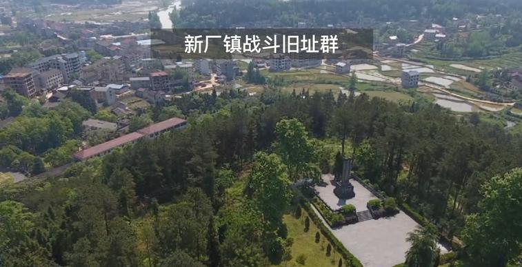 靖州红网新闻公安深化改革，打造平安靖州新篇章