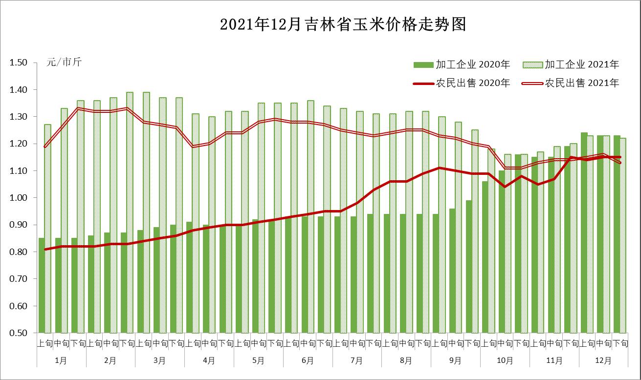 吉林市玉米最新价格动态解析