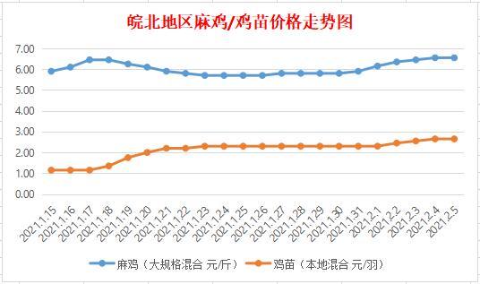 皖北麻鸡最新价格与市场走势深度解析