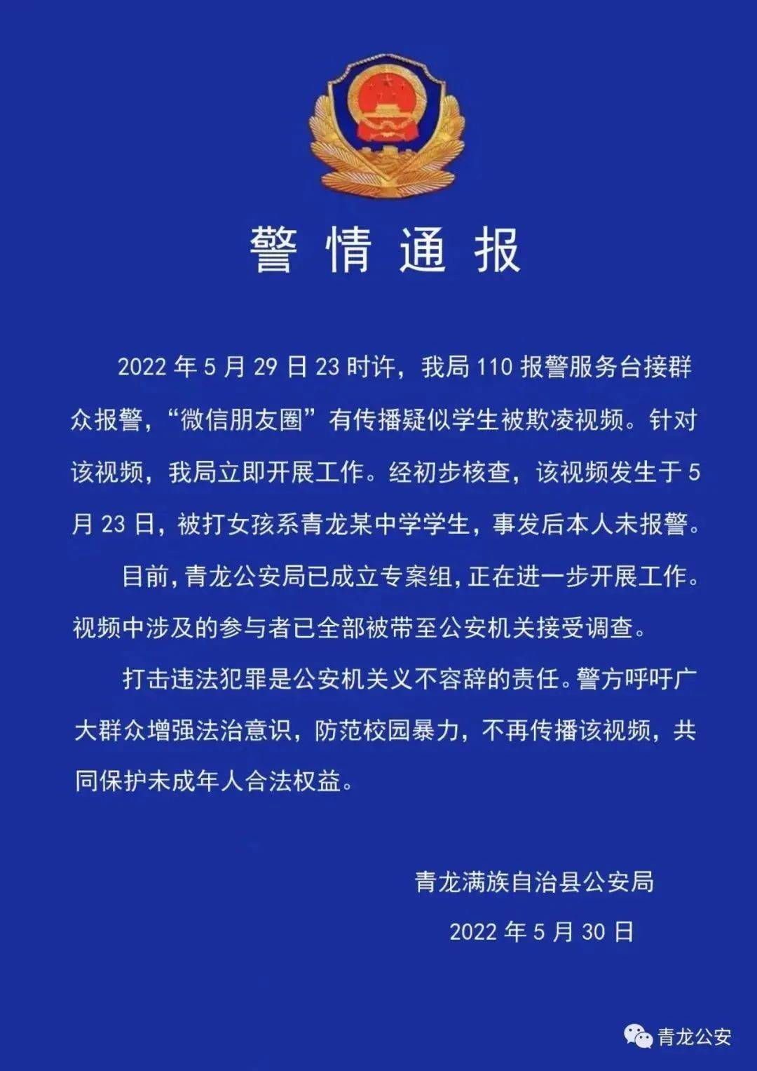 青龙新闻全面解析，最新消息速递