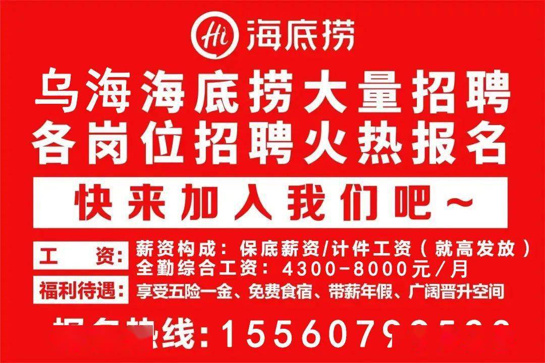 乌海市最新招聘动态与职业机会展望