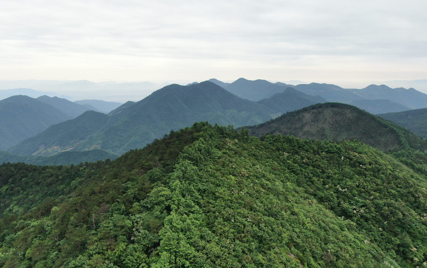 高峰山最新动态全面解析