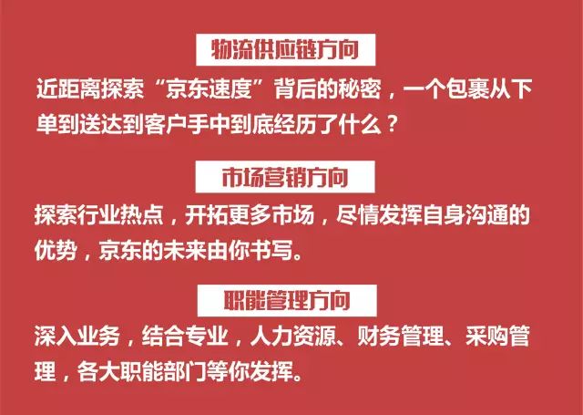 义乌最新阿语翻译招聘，职业发展的新机遇探索