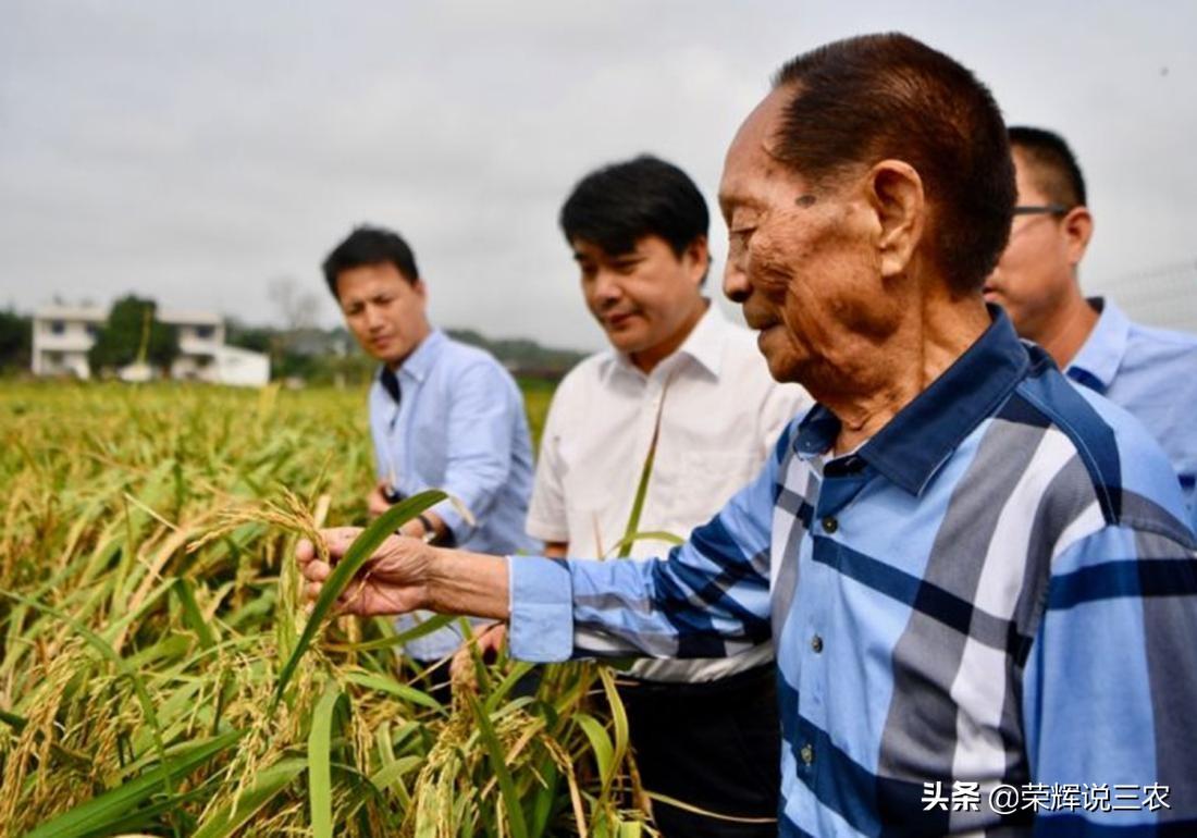 广州田鲜公司引领农业产业变革，树立新鲜食材供应新标杆