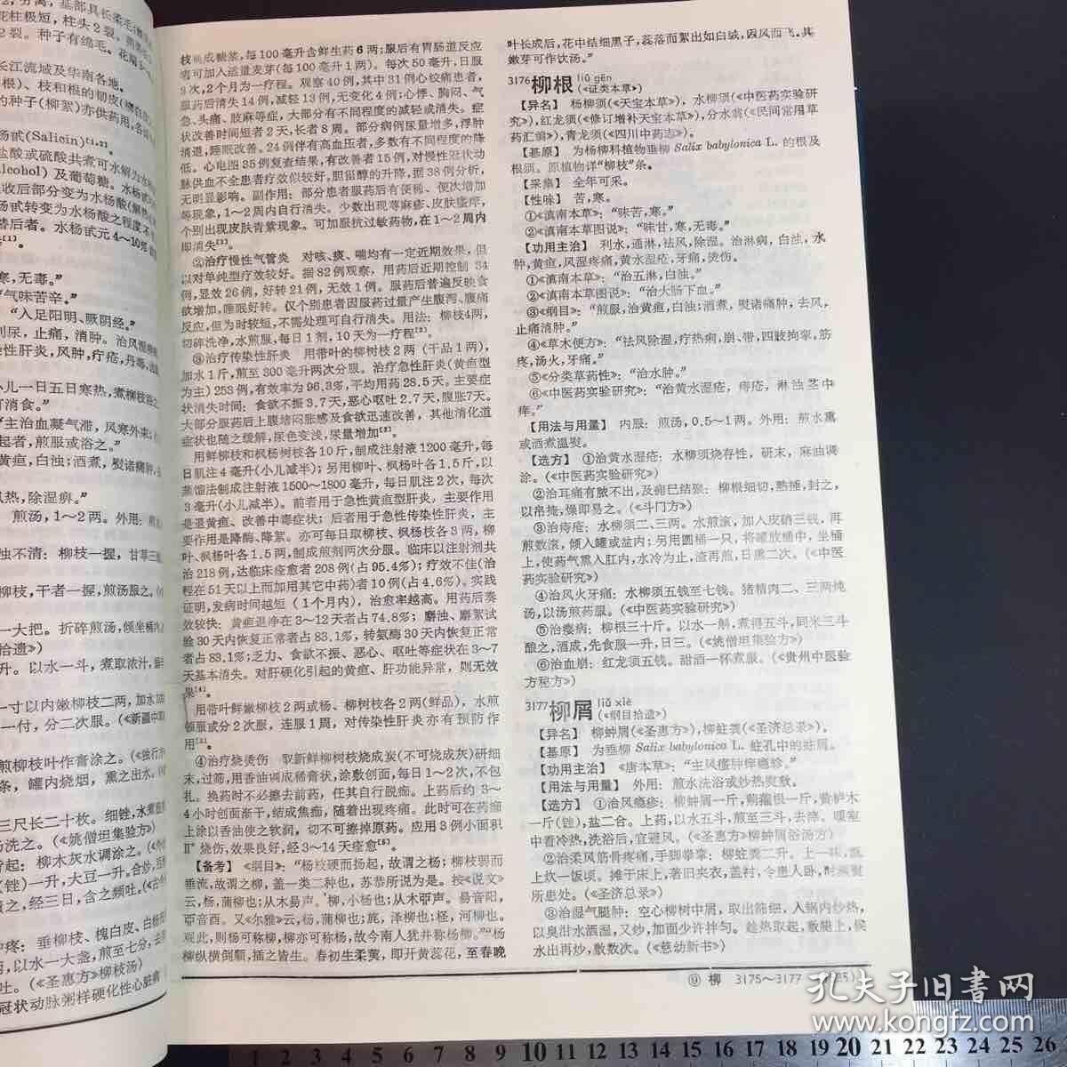 中药大辞典最新版解读与应用展望