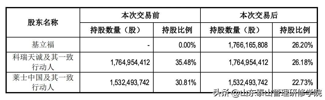 黄凯持股最新动态，深度剖析及前景展望