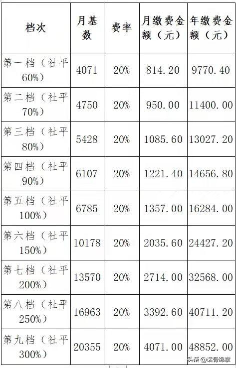 最新个人社保解析，重要性及正确参保指南