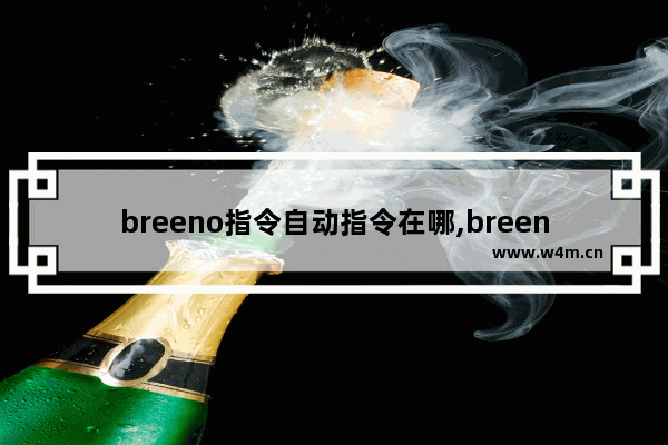 Breeno指令详解与应用探索