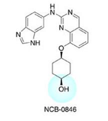 肠癌最新药物研究进展，治疗的新希望与突破