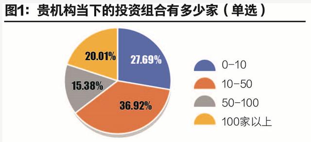 疫情投资最新动态，挑战与机遇的并存观察