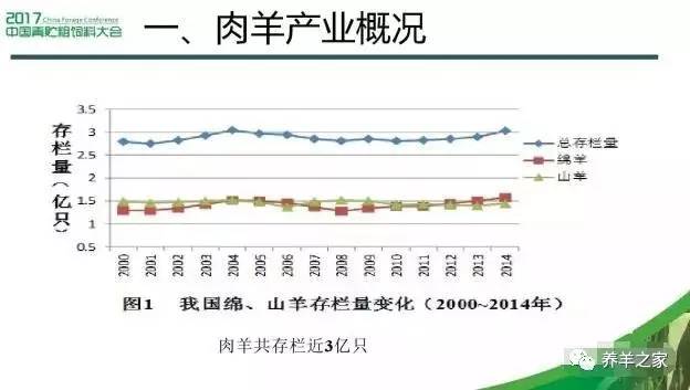 最新羊周期行业趋势与市场机遇深度解析