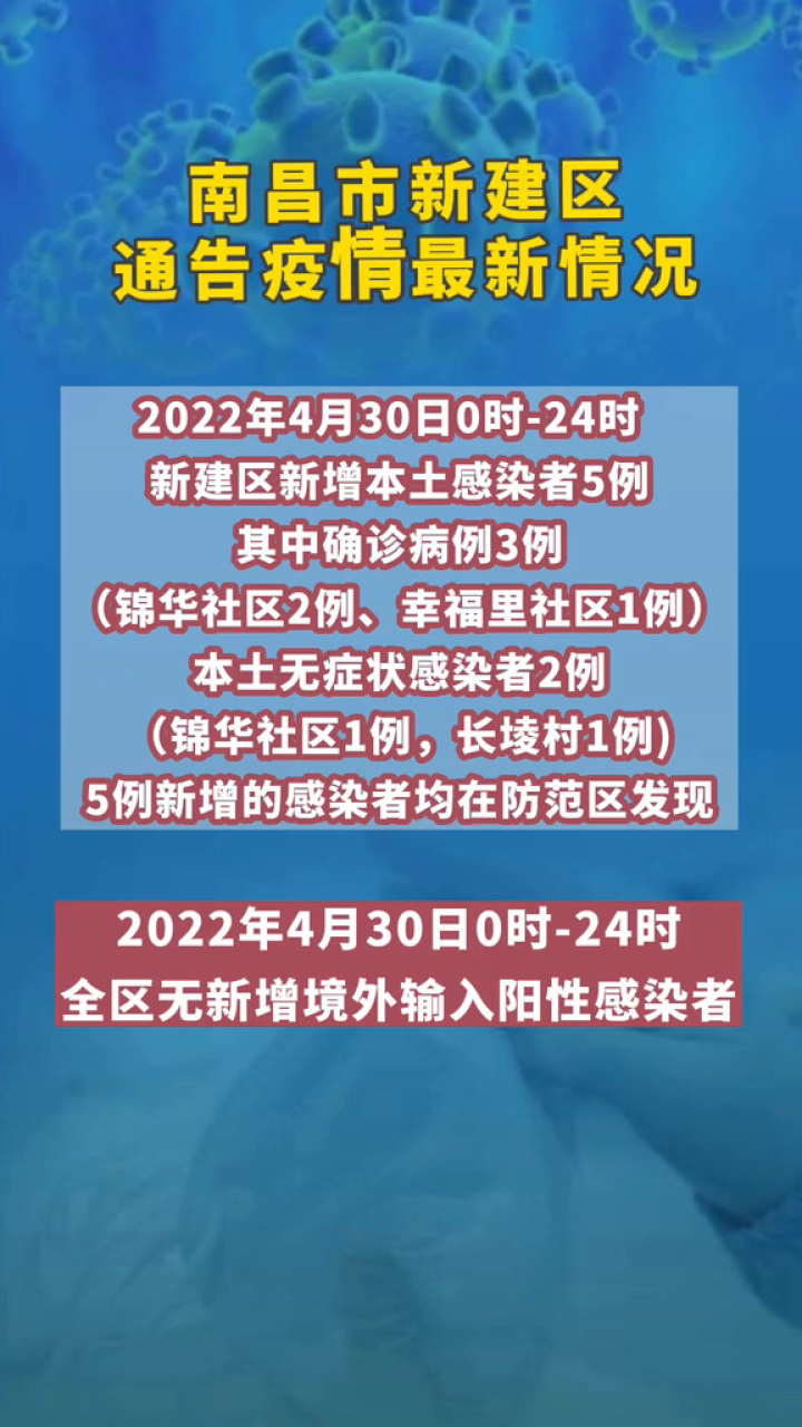 全球疫情网，信息汇集与应对策略的实时更新