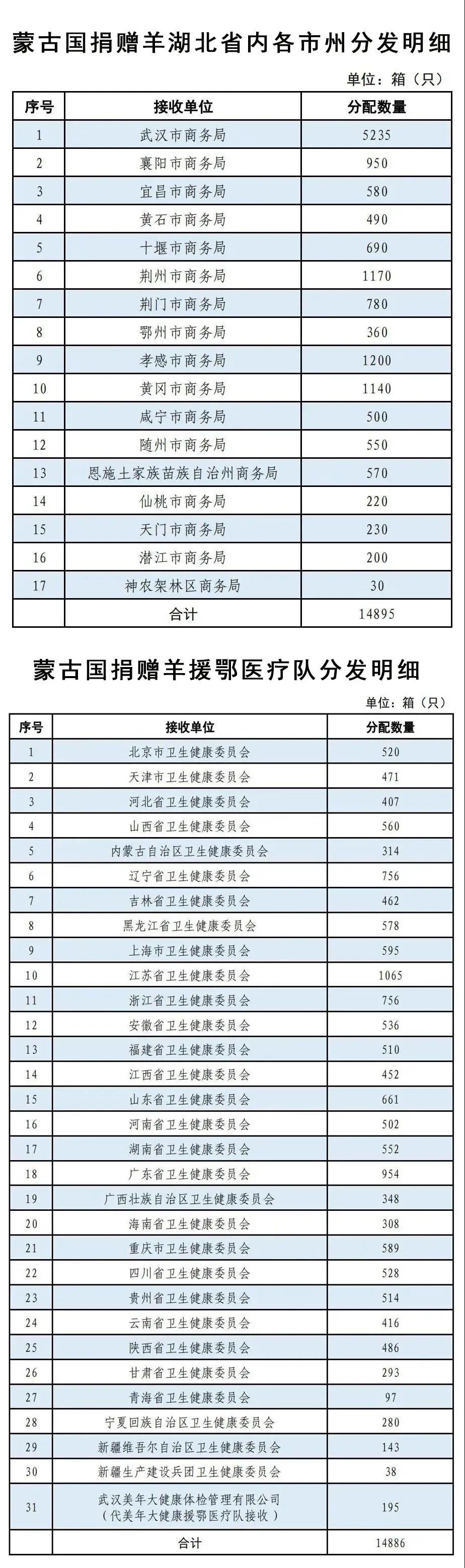 全球肺炎疫情最新动态及应对策略，明细更新