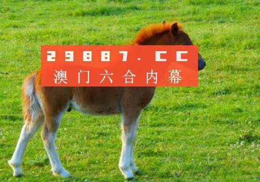 澳门必中一肖一码第一个,创新推广策略_macOS85.759