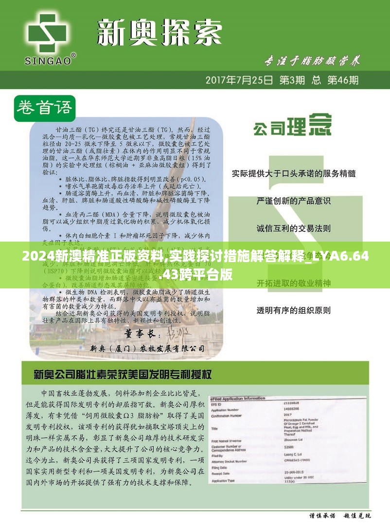 新澳2024年精准资料,高效说明解析_W42.386