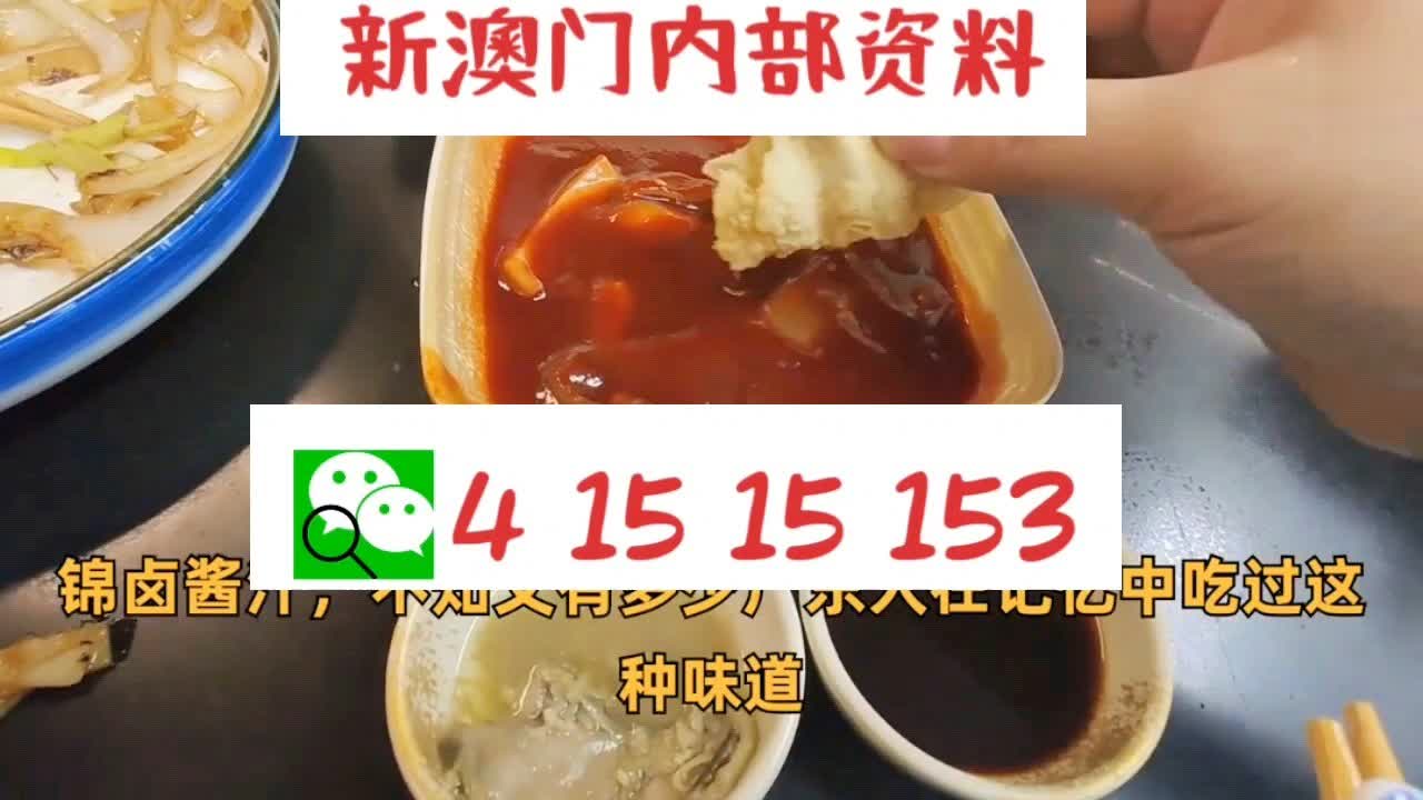 新澳门24码中特精准,专业数据解释定义_36032.291