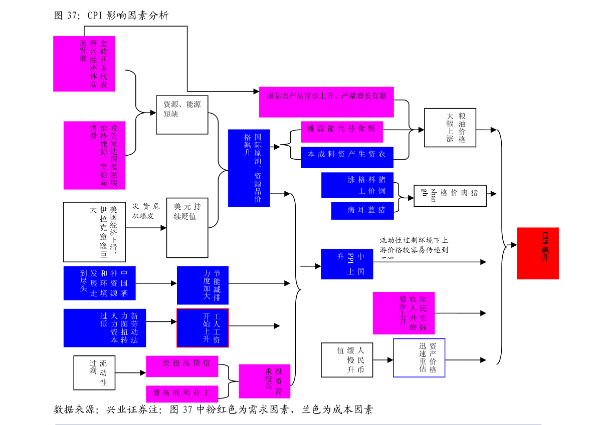 2024澳门今天晚上开什么生肖啊,数据分析驱动解析_战略版24.251