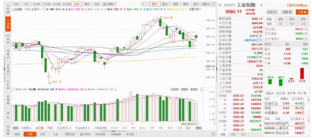 2024年新澳芳草地资料,时代资料解释落实_增强版42.843