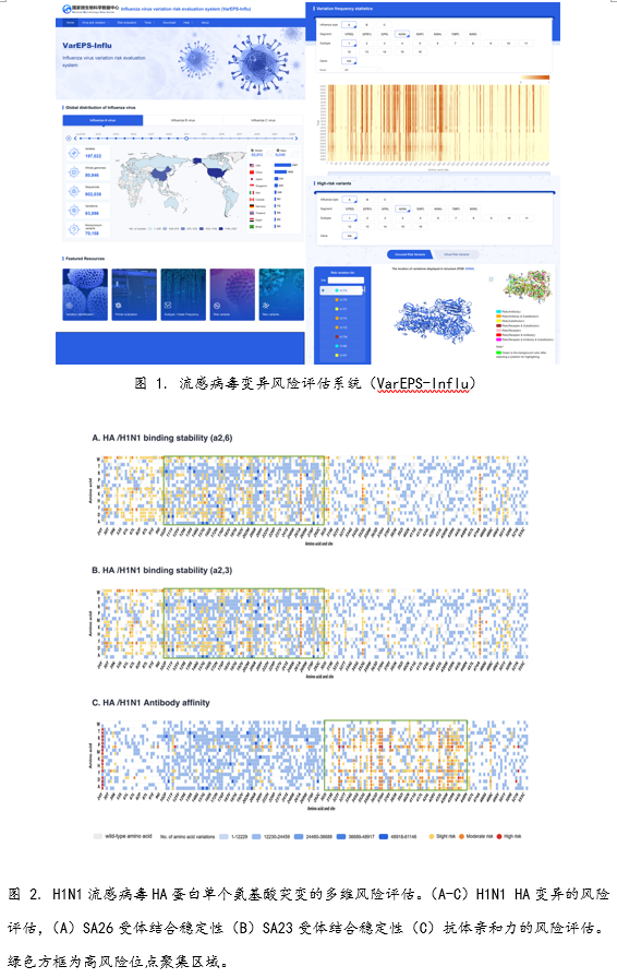 2024全年資料免費大全,实地数据评估设计_Executive48.876