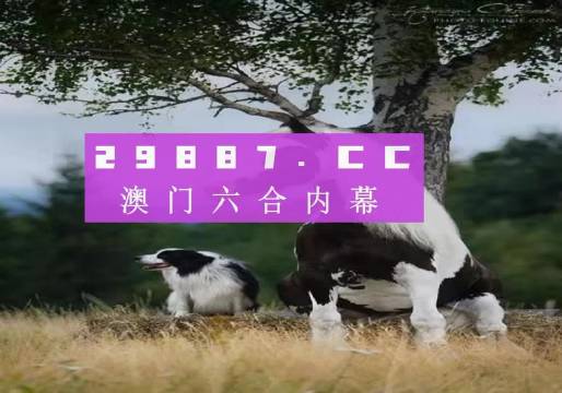 澳门正版跑狗图最新版,经验解答解释落实_经典版20.463