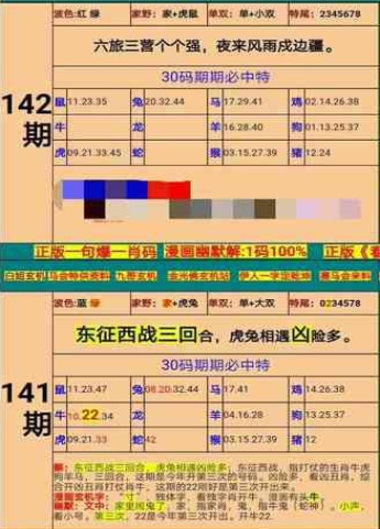 澳门期期准六肖期期准,实效设计计划_超值版14.225