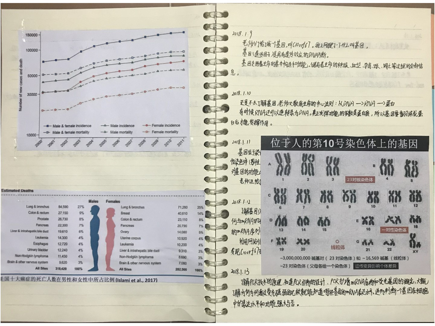 4949免费资料大全资中奖,精细评估说明_Deluxe86.713