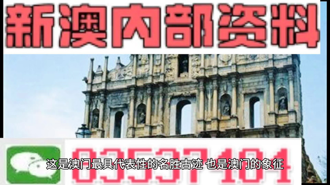 2024新澳门正版资料免费大全,福彩公益网,效率资料解释定义_PalmOS125.538