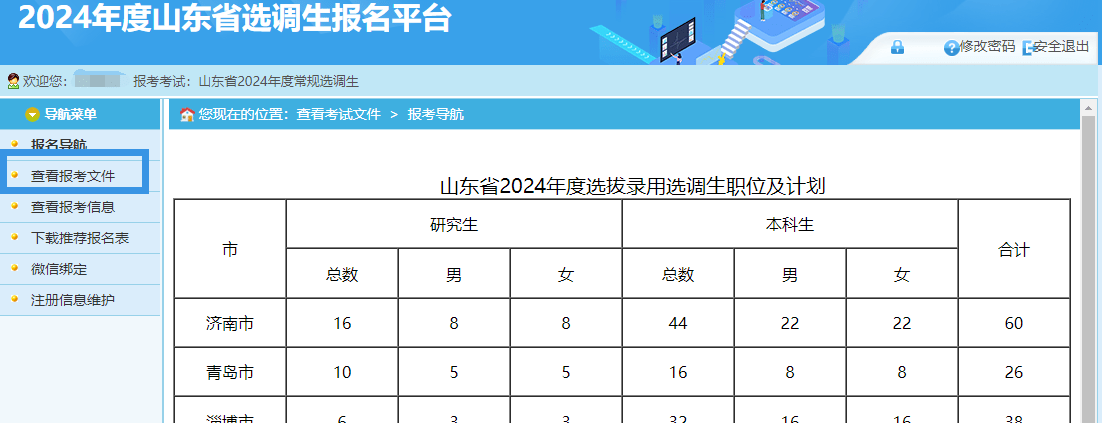 2024年香港6合开奖结果+开奖记录,全面设计实施策略_SP19.975