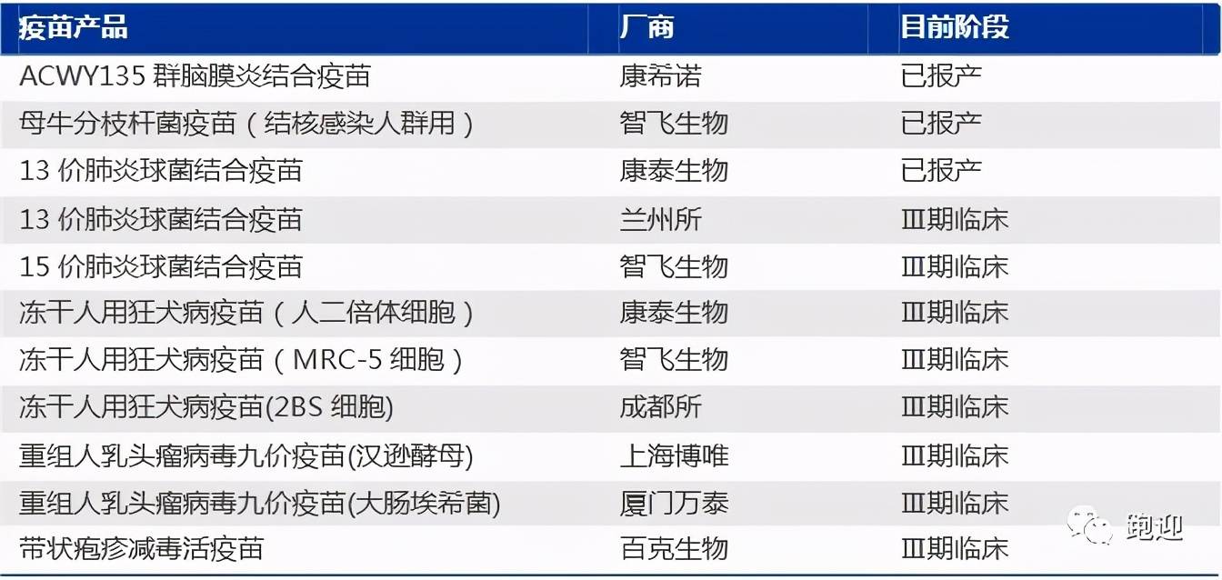 25049.0cm新奥彩,未来解答解析说明_娱乐版67.774