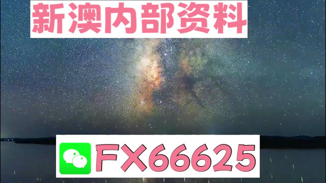 新澳天天彩免费资料2024老,实地方案验证_XP45.125