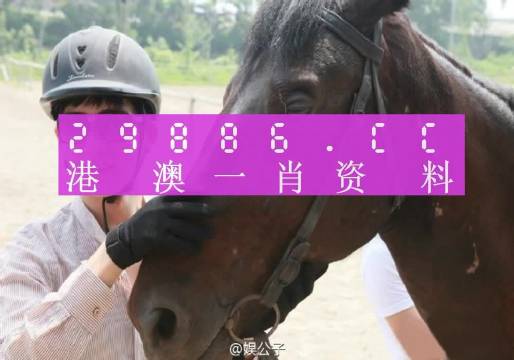 今晚澳门最准一肖一码,快速解答解释定义_专属款65.262