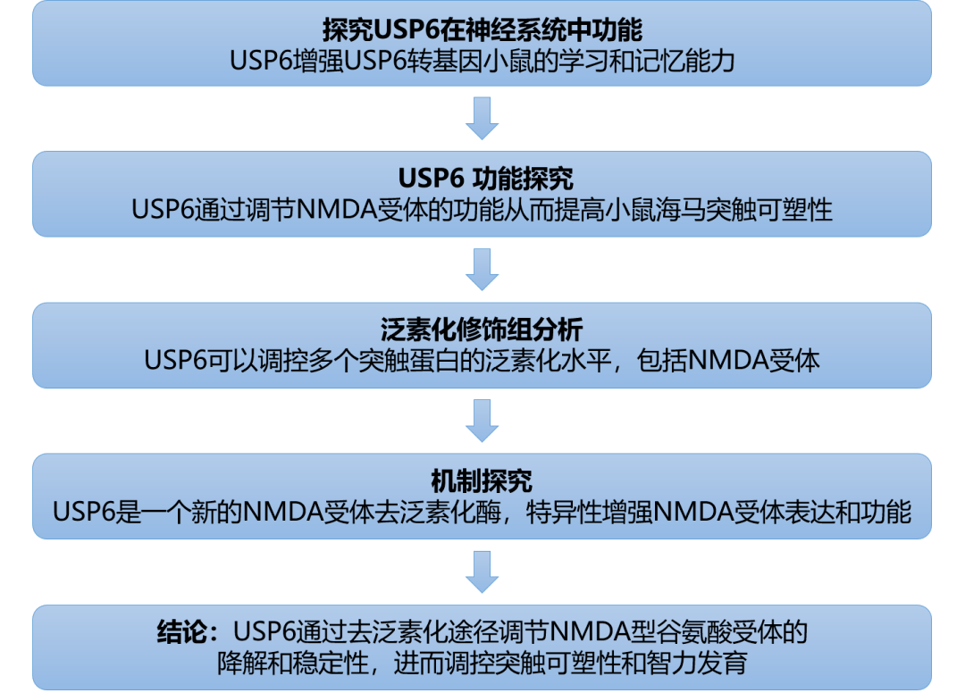 600kcm澳彩资料免费,高度协调策略执行_X版40.427