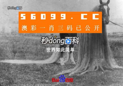 澳门正版一肖一码,可靠研究解释定义_SHD19.908