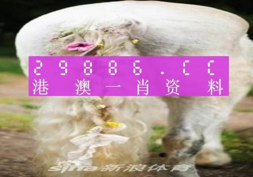 澳门正版一肖一码,准确资料解释落实_娱乐版305.210