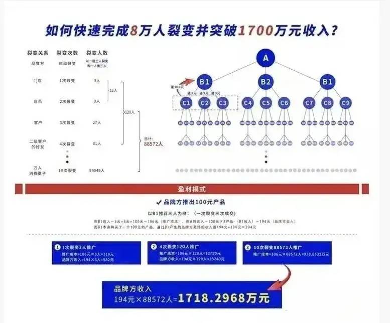 一肖一码一一肖一子深圳,数据导向实施策略_优选版37.895