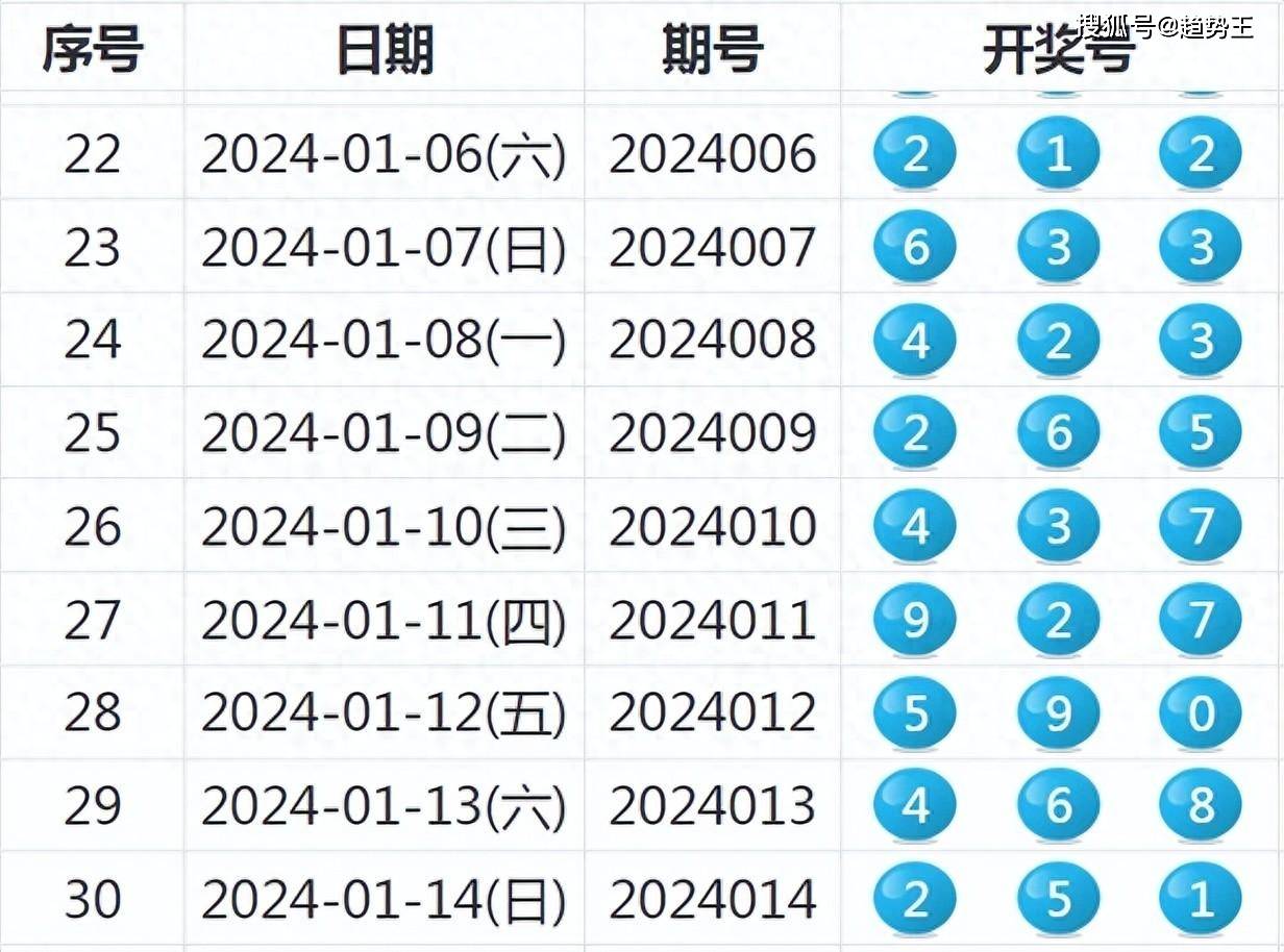 2024年新奥开奖结果,专业数据解释定义_soft91.846