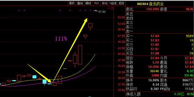 天下彩(9944cc)天下彩图文资料,现状分析解释定义_WearOS40.65