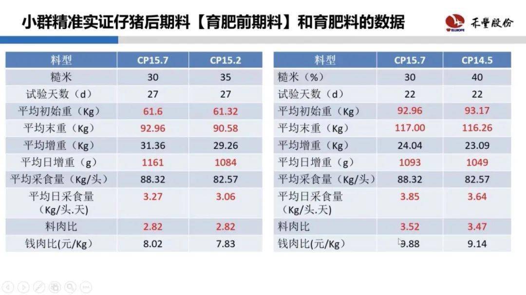 216677新奥彩,确保成语解释落实的问题_PalmOS61.864