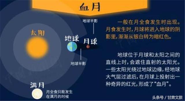 494949澳门今晚开什么,科学化方案实施探讨_创意版2.833