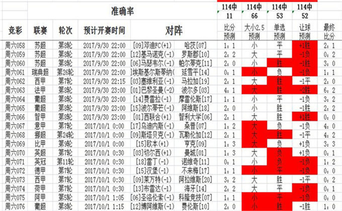 626969澳彩资料2024年,实地分析解释定义_YE版96.296