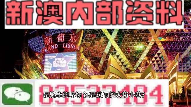 新澳门精准资料大全管家婆料,快捷问题解决指南_SE版72.849