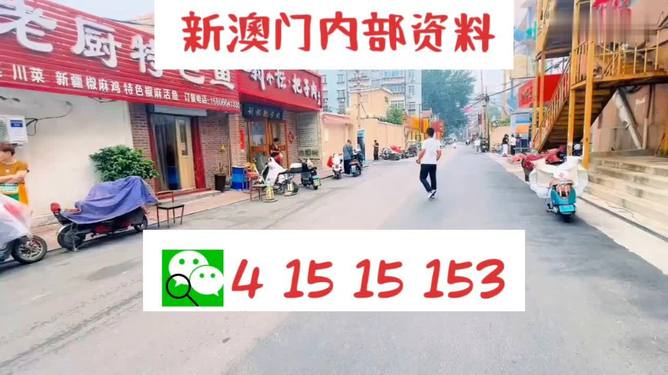 2024澳门天天开好彩大全,广泛的解释落实支持计划_tShop95.870