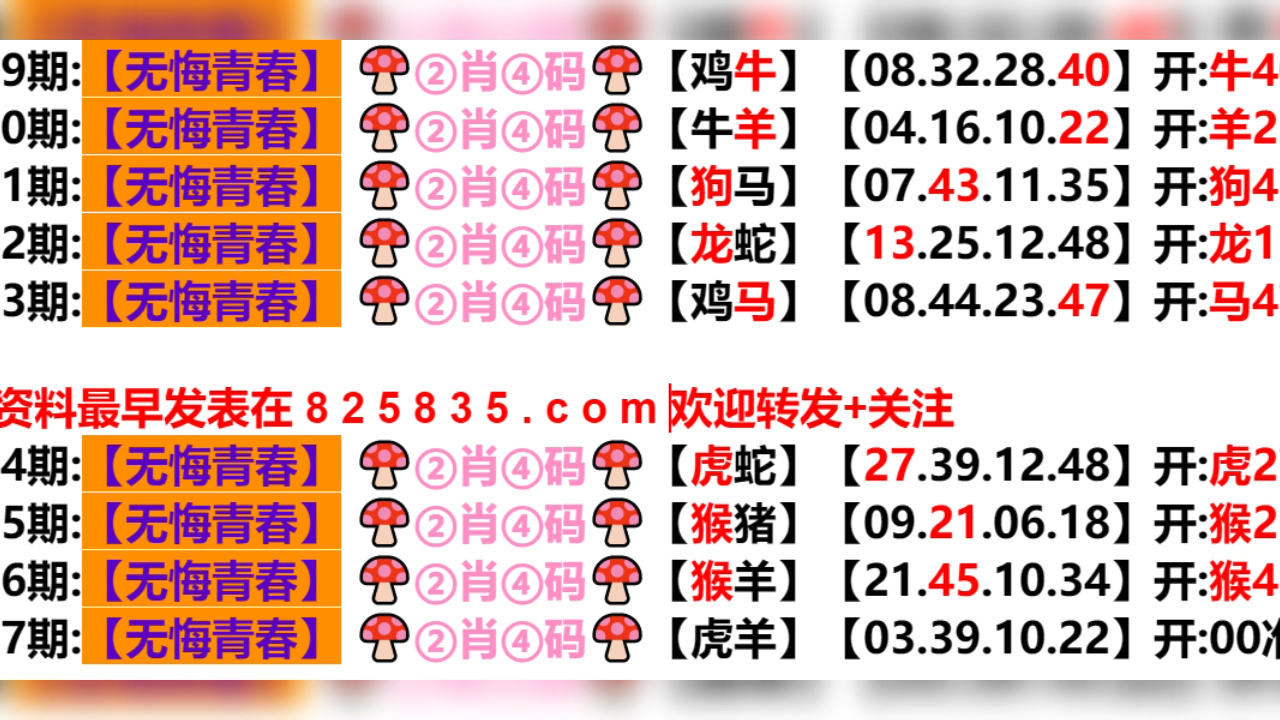 2024年新奥门天天开彩,经典说明解析_安卓款56.594