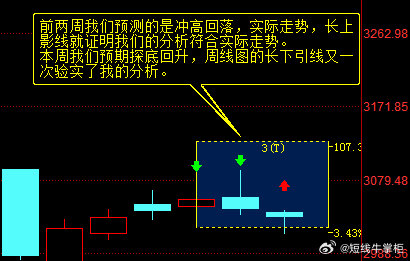 一肖一码一一肖一子深圳,实证分析解释定义_战略版27.530