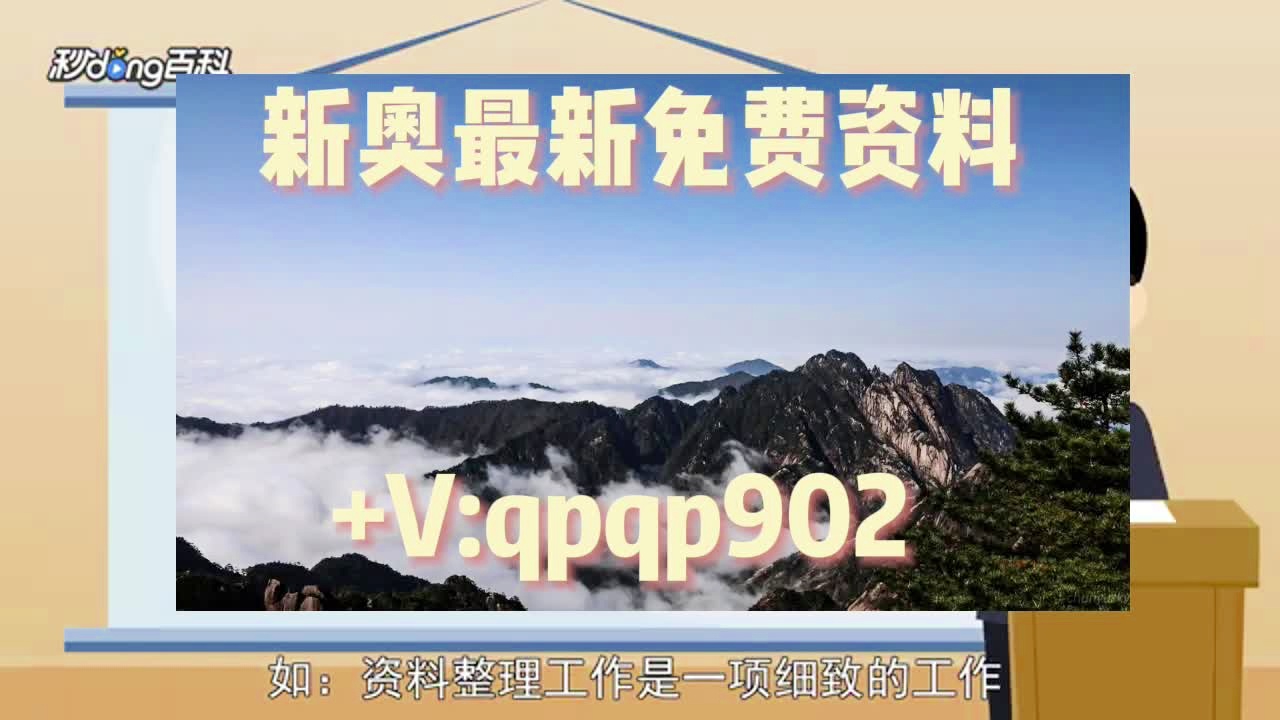 澳门正版免费全年资料大全旅游团,深度研究解释定义_专家版98.335