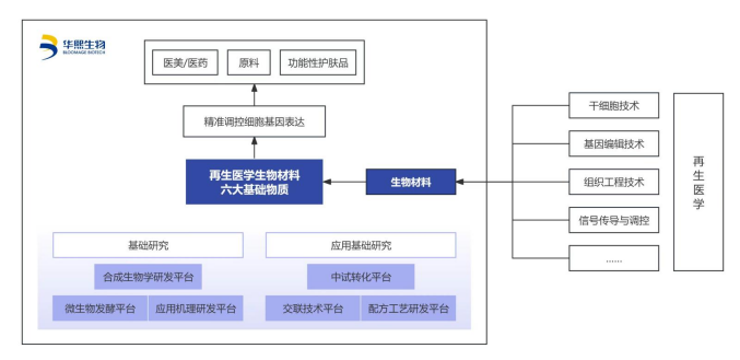 新奥门内部资料精准大全,深度应用解析数据_HT20.625