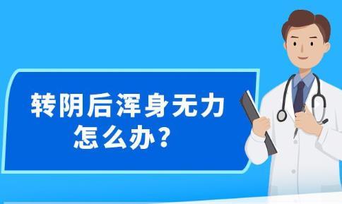 新澳精准资料免费提供4949期,广泛的关注解释落实热议_优选版49.582